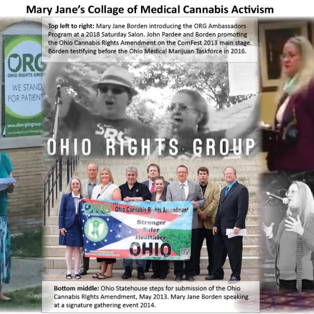 Collage of pictures from Mary Jane's activism