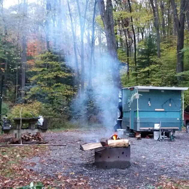 A forest in the background, a campfire-looking thing in front of trees