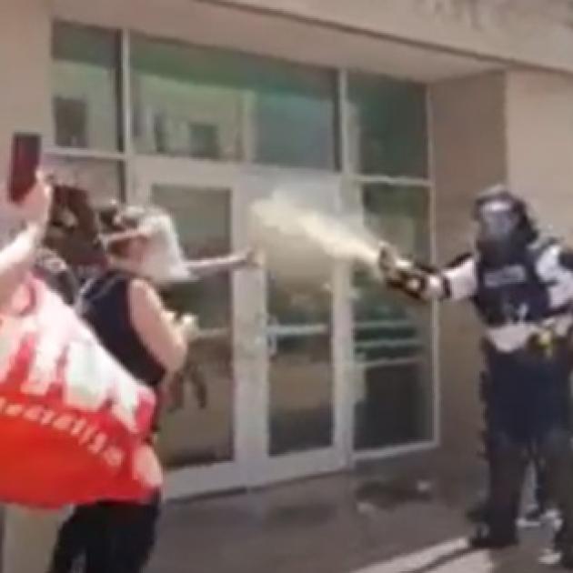 Cop spraying a protestor