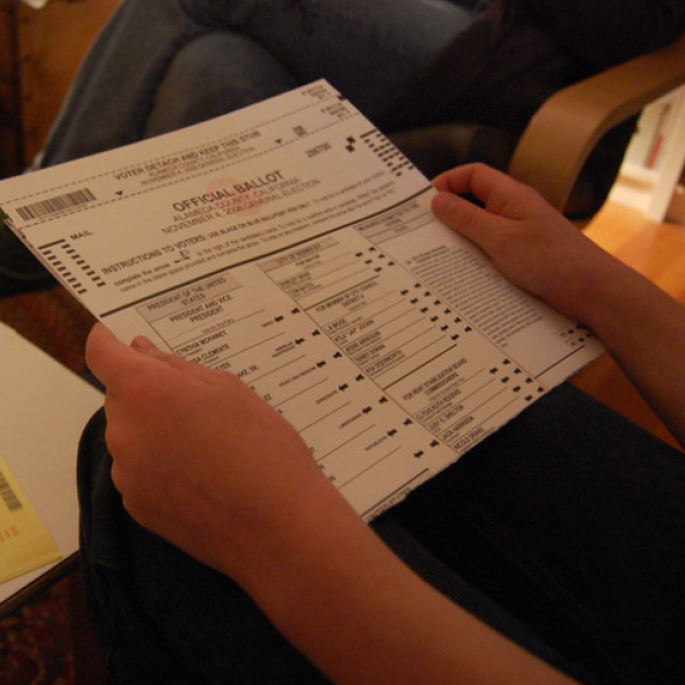 Person looking at ballot