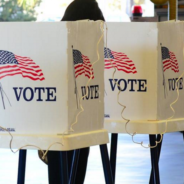 Person in voting booth that is white with a flag on the back and word VOTE