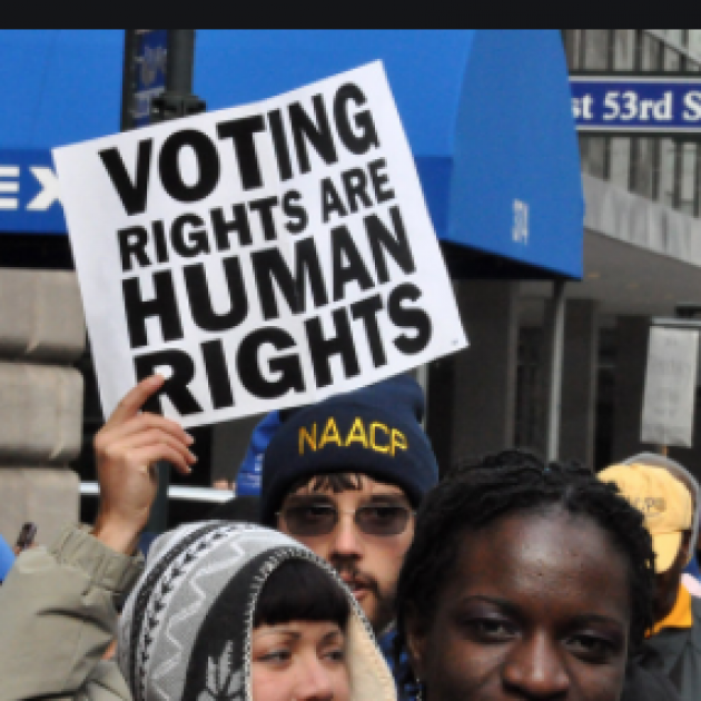 Sign saying Voting Rights are Human Rights