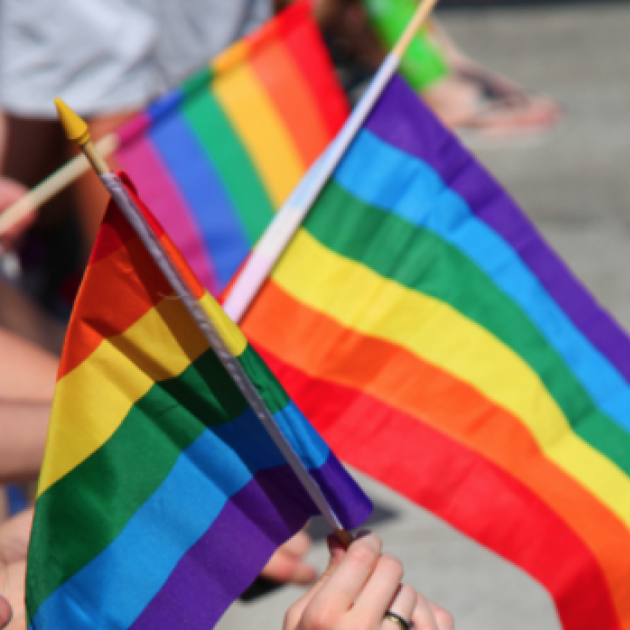 Rainbow flags