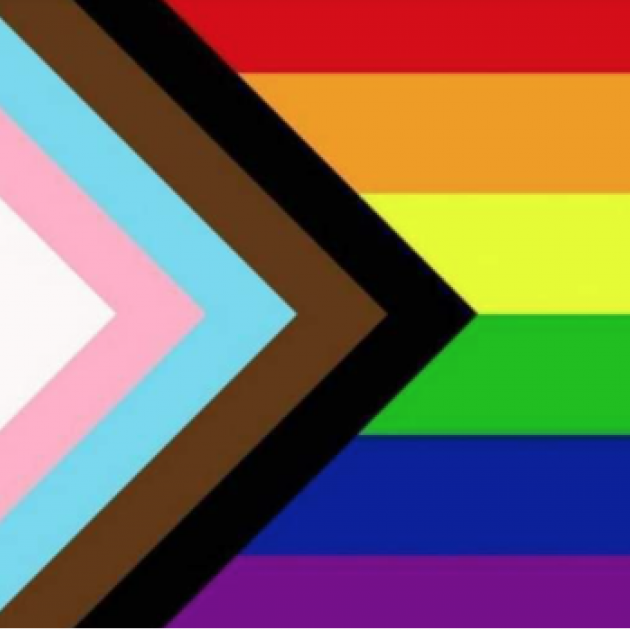 Trans and rainbow flag
