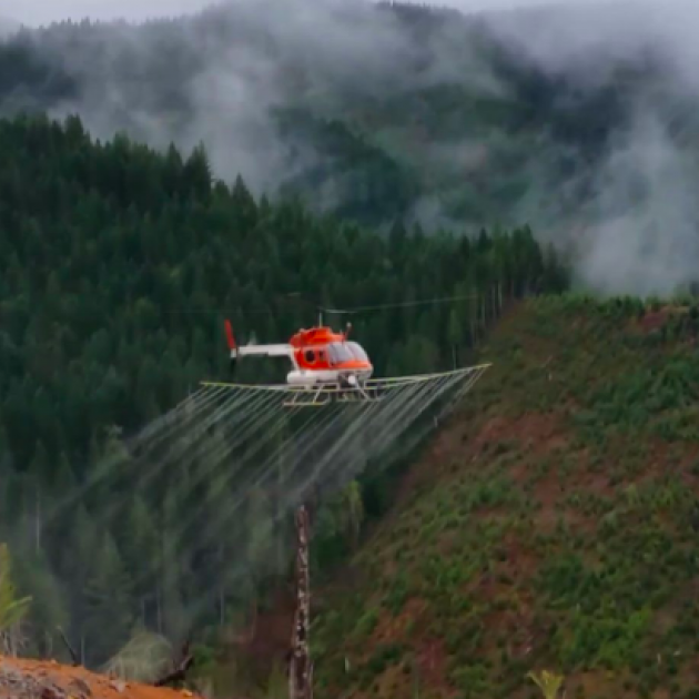 Helicopter spraying the ground