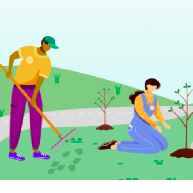 People planting trees