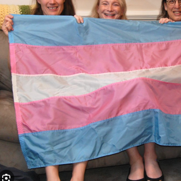 Trans flag