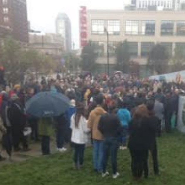 Lots of back of people on grassy lawn with buildings in the background, some holding umbrellas