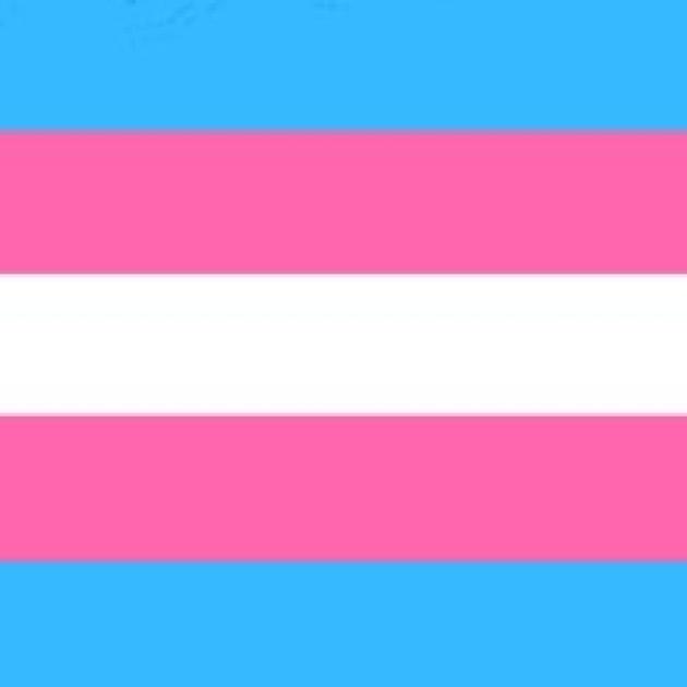 Trans flag