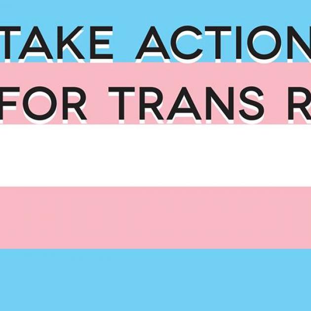 Blue, pink an white flag background with words take action for trans rights