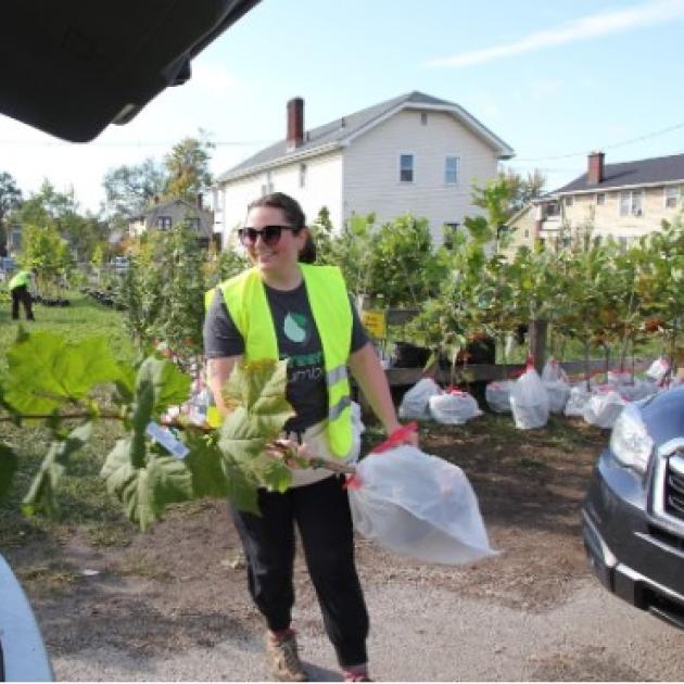 Woman putting tree in car trunk