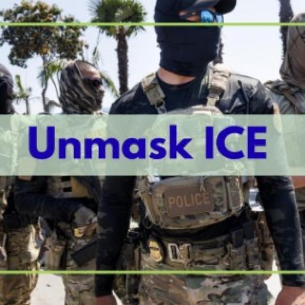 Masked ICE agents