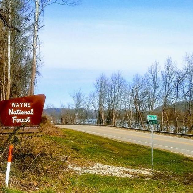 Road leading into forest with sign saying Wayne National Forest