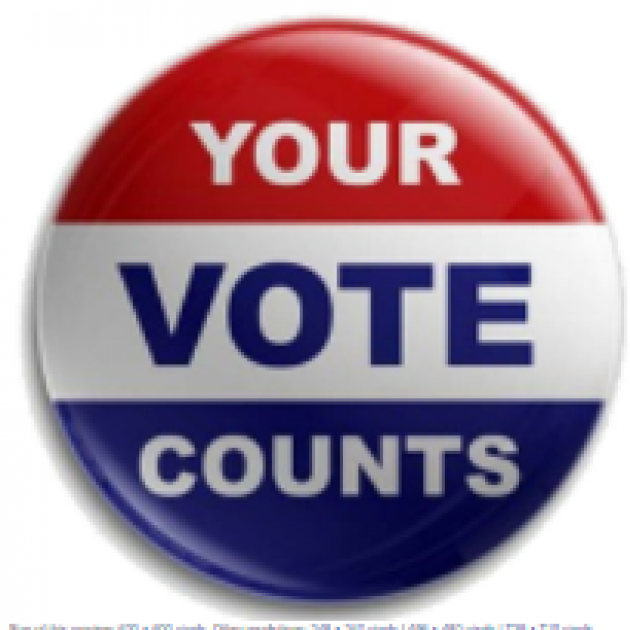 Your vote counts button