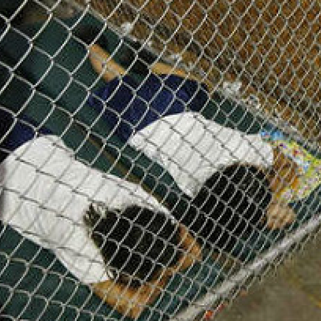 Two people on their faces on the ground behind a chainlink fence