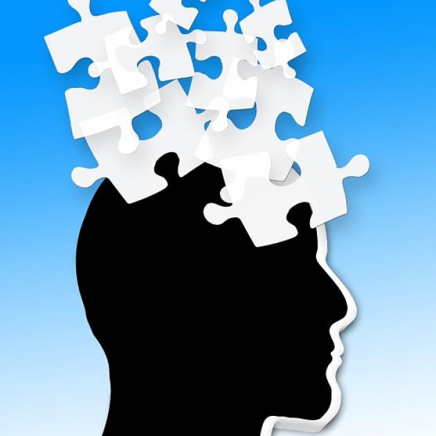 Black silhouette of a head facing right with white puzzle pieces flying out of his head against a blue background