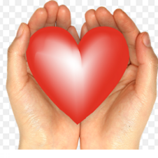 Two white hands holding a big red heart