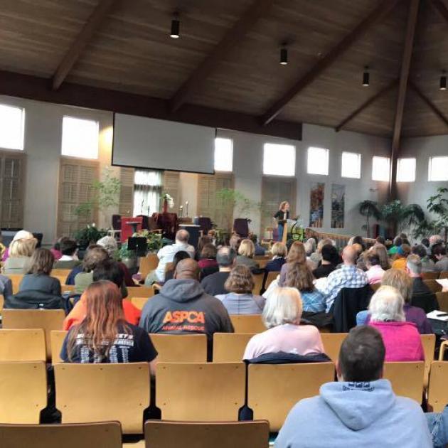 People sitting in chairs in a big hall with their backs to camera