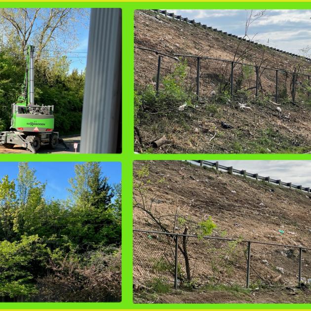 Photos of trees land and then without trees