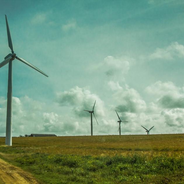 windmills out in a field
