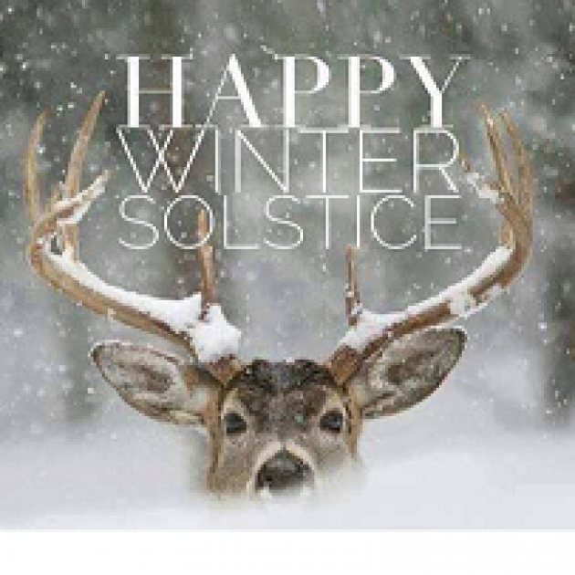 Head of a deer peering over snow against trees and the words Happy Winter Solstice