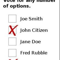 Ballot with x's for some candidates