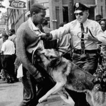 Black and white photo of young black man and white police officer grabbing his shirt in front and a German Shepherd police dog biting at the guy's stomach