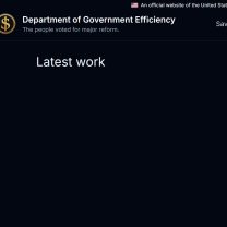 Blank page on DOGE website