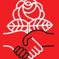 Hands shaking under rose DSA Logo