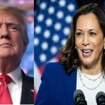 Trump and Harris