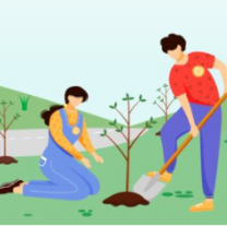 People planting trees