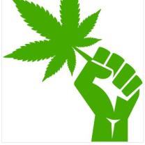 Fist holding a marijuana leaf