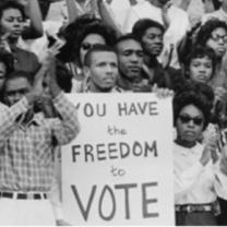 You have the freedom to vote sign held at a rally