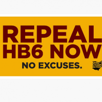 Repeal HB6 now