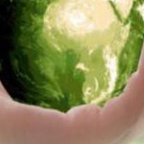 A hand holding the world