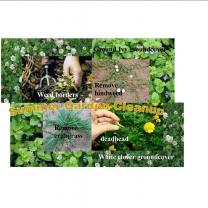 Photos of the green garden