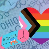 Rainbow and trans artwork