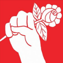 Hand holding a rose against red background