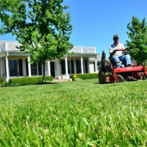 Guy riding a lawn mower