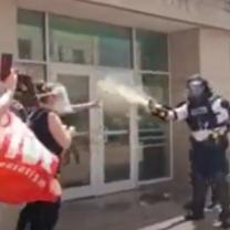 Cop spraying a protestor