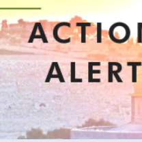 Action Alert
