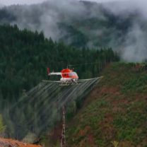 Helicopter spraying the ground