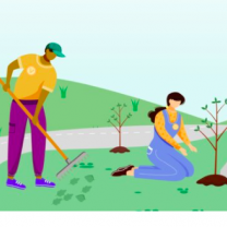People planting trees