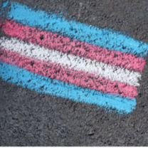 Trans flag
