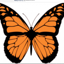 Monarch butterfly
