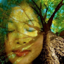 Artistic photo of woman and tree
