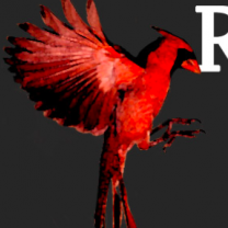 Redbird