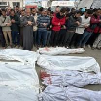 People standing hear dead bodies