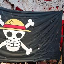Straw Hat flag
