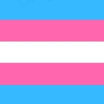 Trans flag